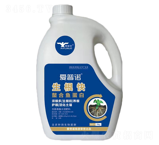 �����������~����-�����Z