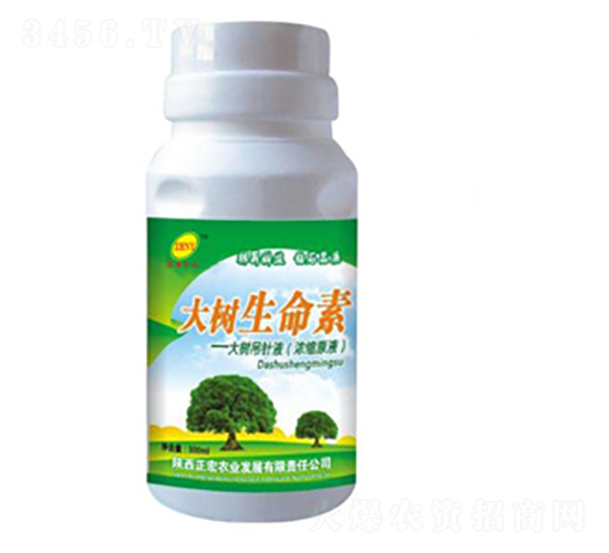 ���������-��������