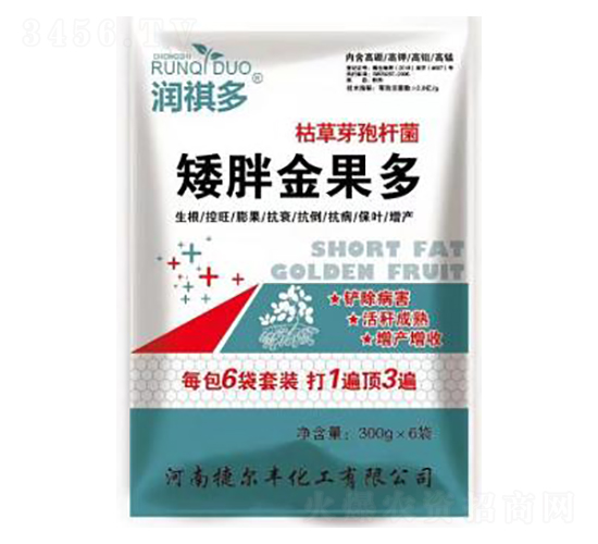 �ݲ�ѿ�ߗU��-���ֽ����-�ݠ��S����