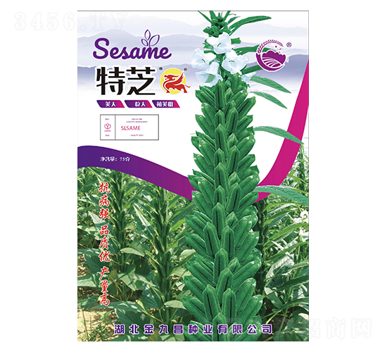 ��֥-��Ų�