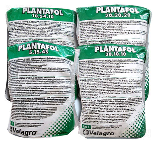 ���︣-�r��ʩ