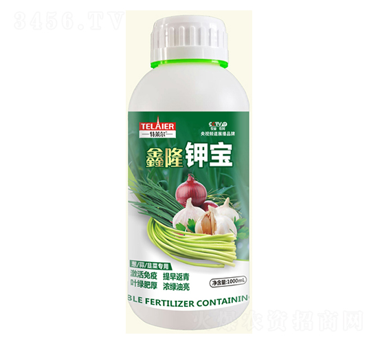 ��¡⛌�-���R��