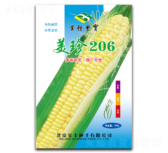 美珍206-糯玉米種子-寶豐