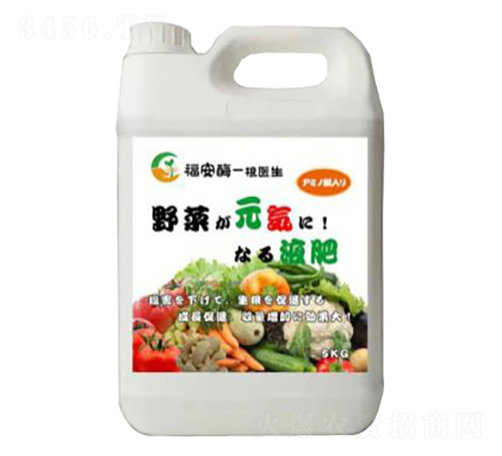 �r�ý���-����ø-����