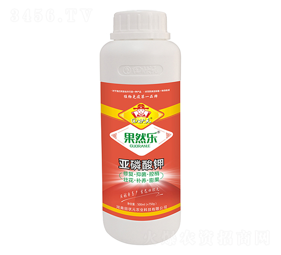 �������-��Ȼ��-���Ԫ