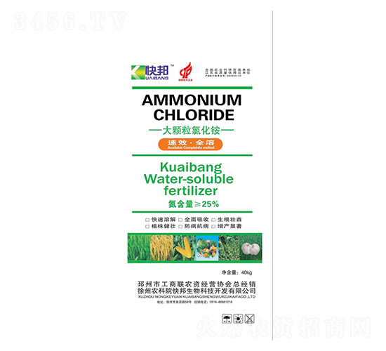 ���w���Ȼ��@-�������