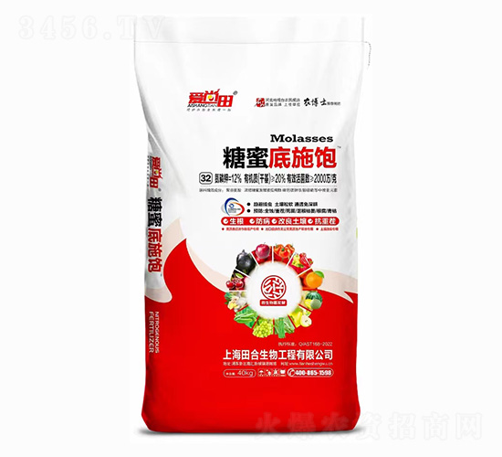 ���۵�ʩ�-�������