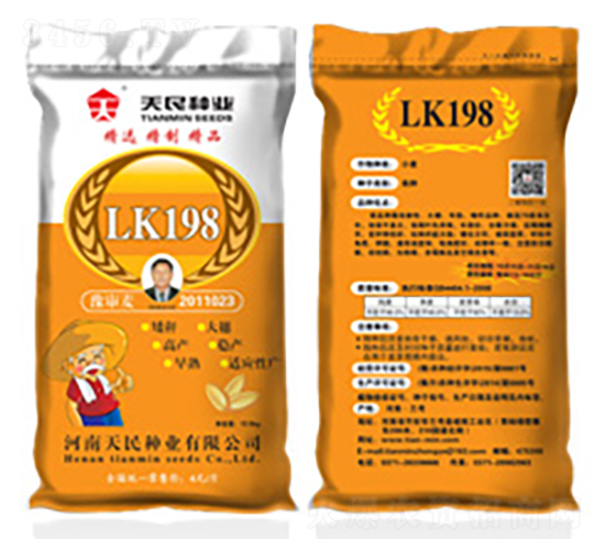 國(guó)審蘭考198（LK198黃袋）-小麥種子-天民種業(yè)