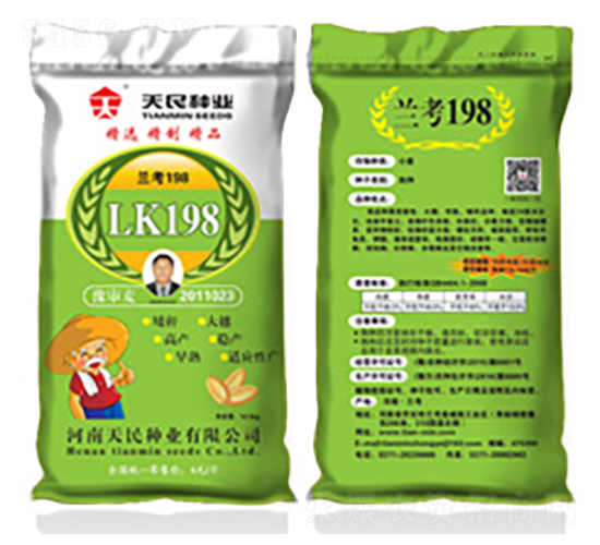 國審蘭考198（LK198綠袋）-小麥種子-天民種業(yè)