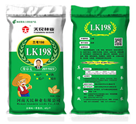 國審蘭考198（LK198）-小麥種子-天民種業(yè)