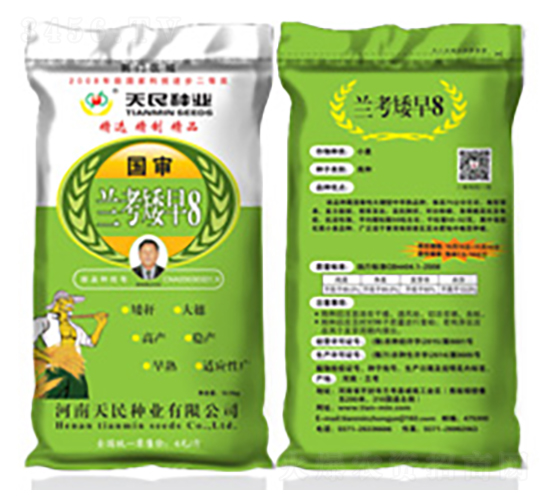 國審蘭考矮早8（荊門區(qū)域綠袋）-小麥種子-天民種業(yè)