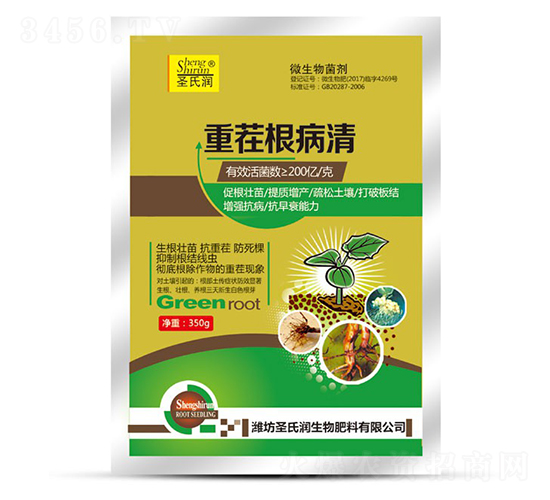 �ز������-ʥ�ϝ�