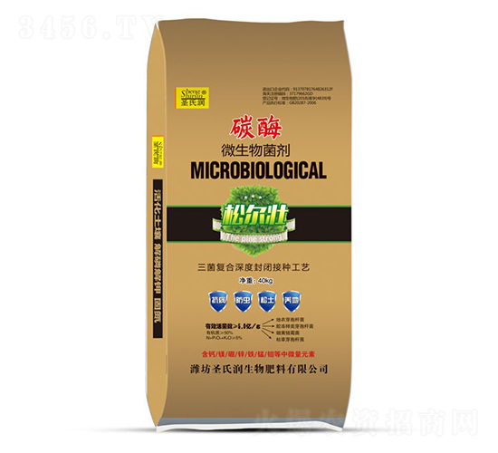 ̼ø΢�������-ʥ�ϝ�