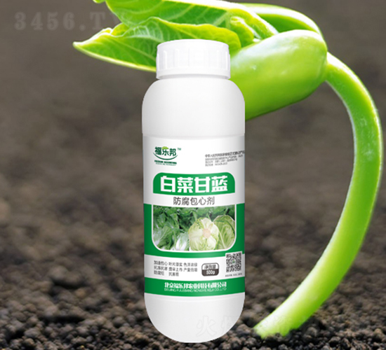 �ײ˸��{(l��n)�������Ą�-������