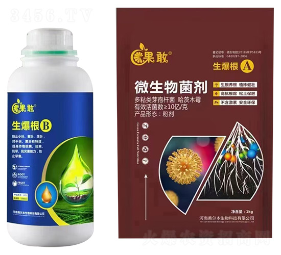 ������A+B-����-����������