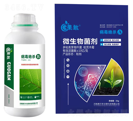 �����^��A+B-����-����������