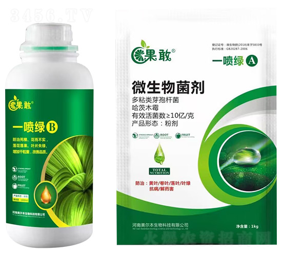 һ���GA+B-����-����������