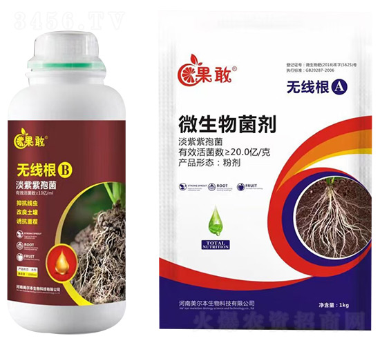 �o(w��)����A+B-����-����������