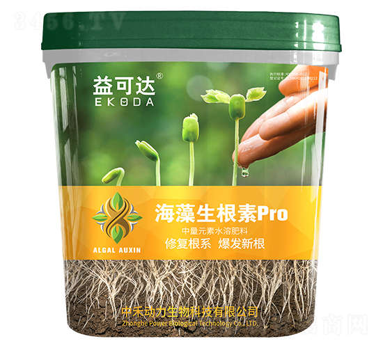 ����������pro-����_-�к̄���