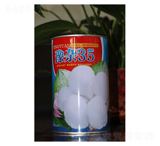 豫雜35-棉花種子-邢源農(nóng)業(yè)
