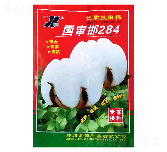 國審邯284-棉花種子-邢源農(nóng)業(yè)