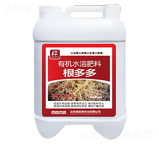 �����-�𸻵�