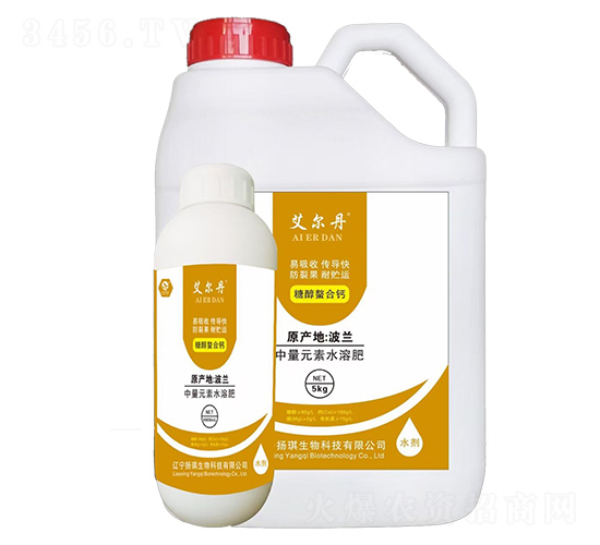 �Ǵ������}-������-�P(y��ng)������