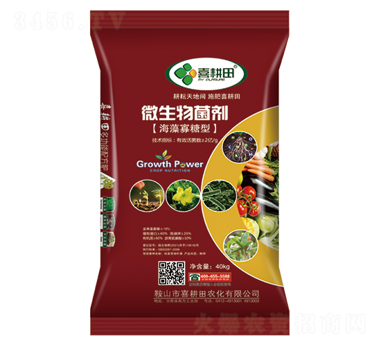 ���������΢�������-ϲ����