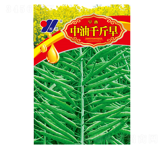 ����ǧ����-�Ͳ˷N��-��Դ�r(n��ng)�I(y��)