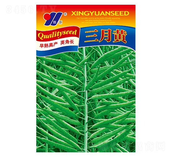 三月黃-油菜種子-邢源農(nóng)業(yè)