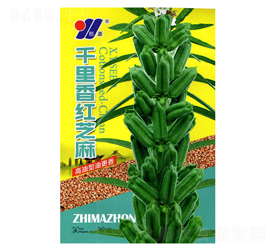 千里香紅芝麻-芝麻種子-邢源農(nóng)業(yè)