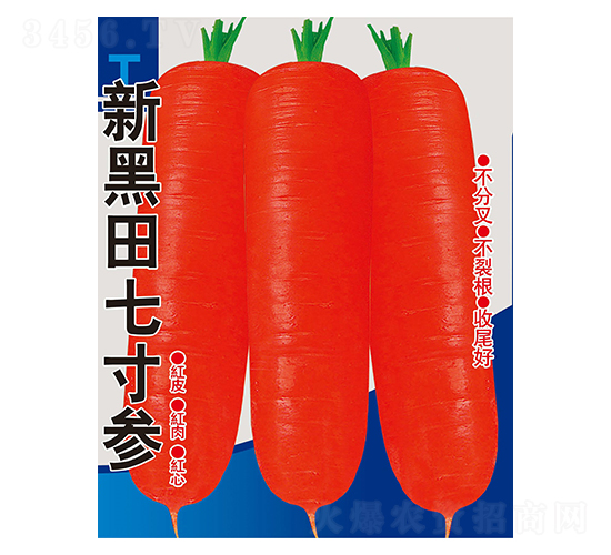 新黑田七寸參-蘿卜種子-邢源農(nóng)業(yè)