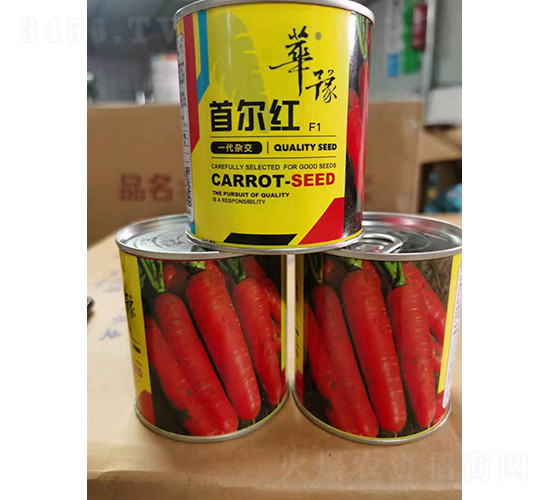 首爾紅-蘿卜種子-邢源農(nóng)業(yè)