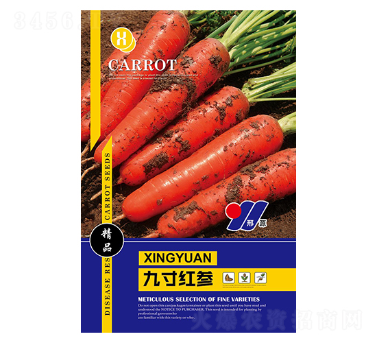 九寸紅參-蘿卜種子-邢源農(nóng)業(yè)