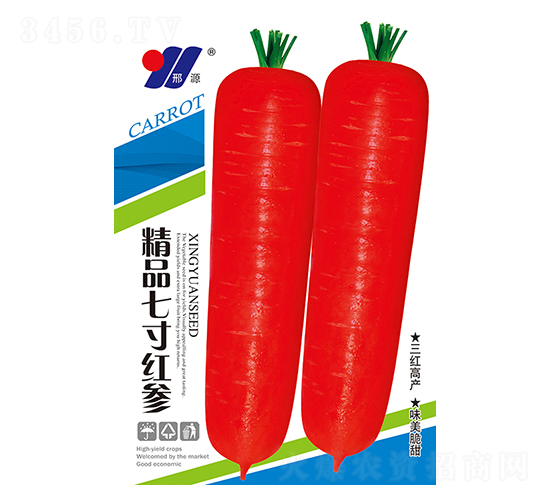 精品七寸紅參-蘿卜種子-邢源農(nóng)業(yè)