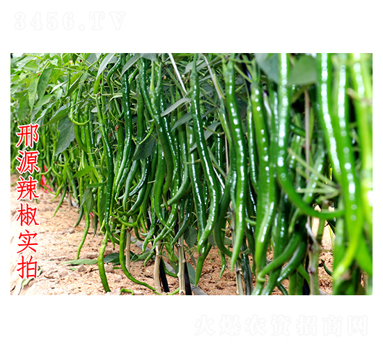 ��Դ����-�����N��-��Դ�r(n��ng)�I(y��)