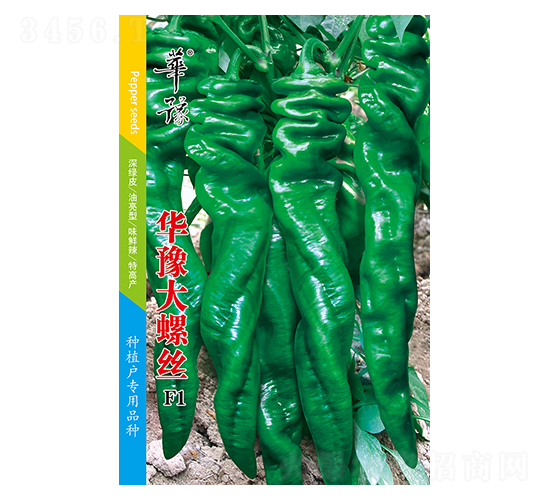 華豫大螺絲F1-辣椒種子-邢源農(nóng)業(yè)