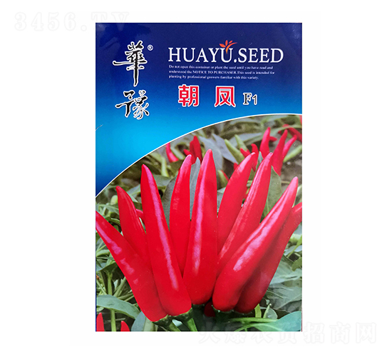 華豫朝鳳-辣椒種子-邢源農(nóng)業(yè)