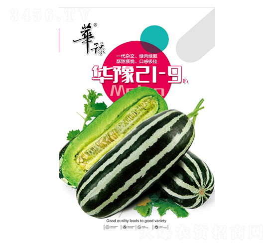 華豫21-9-甜瓜種子-邢源農(nóng)業(yè)