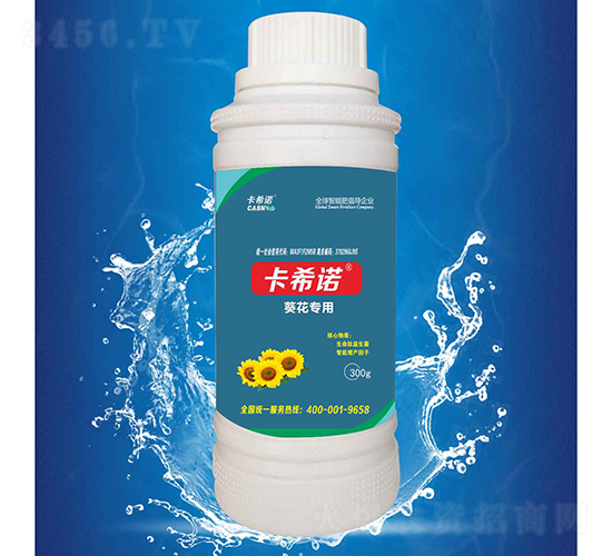 葵花專用-卡希諾