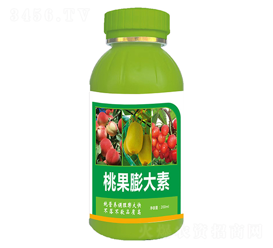 �ҹ������-��Դ����