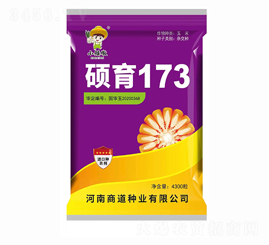 碩育173【4300?！?玉米種子-商道種業(yè)