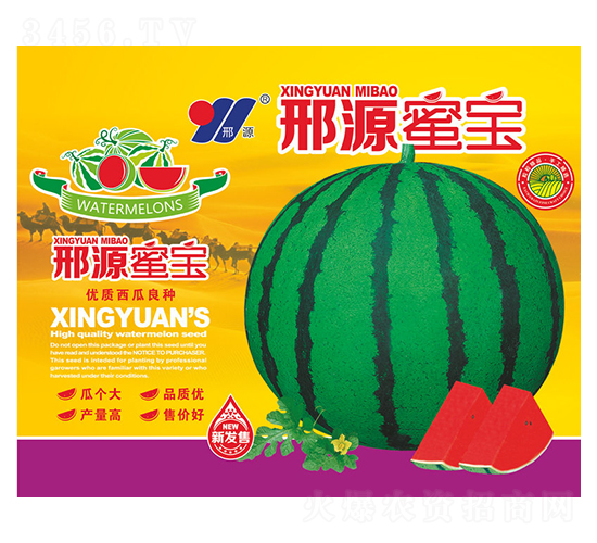 邢源蜜寶-西瓜種子-邢源農(nóng)業(yè)