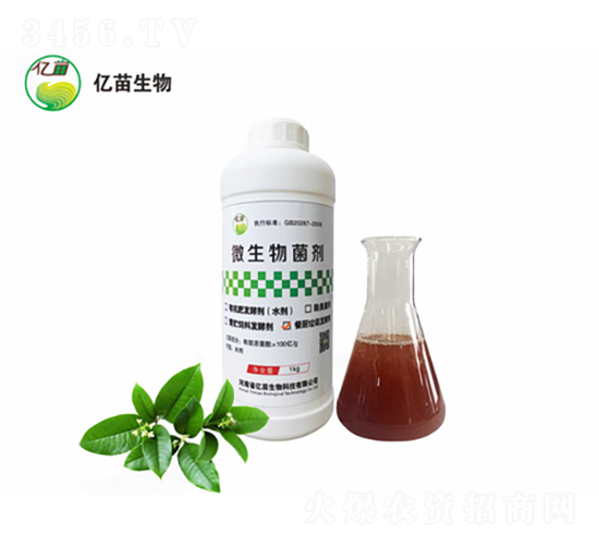 �͏N�l(f��)�̈́�-�|������