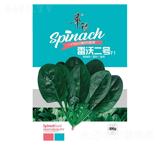 雷沃二號(hào)-菠菜種子-邢源農(nóng)業(yè)