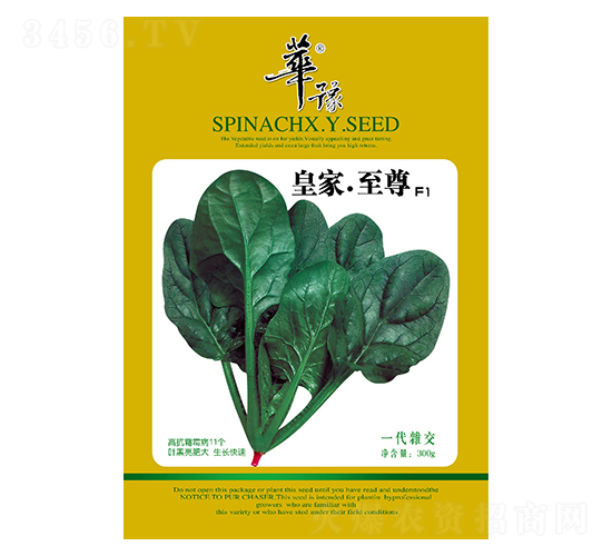 皇家至尊F1-菠菜種子-邢源農(nóng)業(yè)