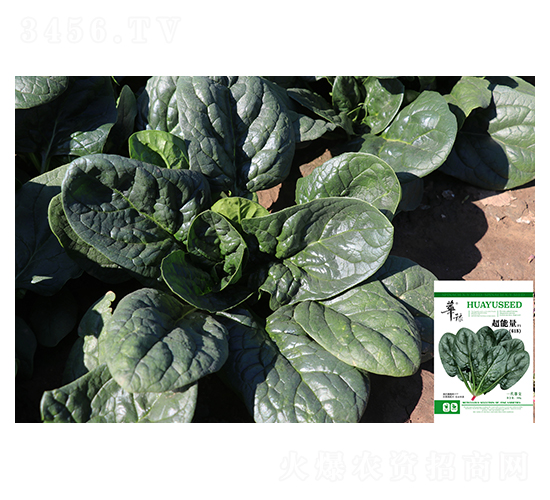 ������-���˷N��-��Դ�r�I(y��)