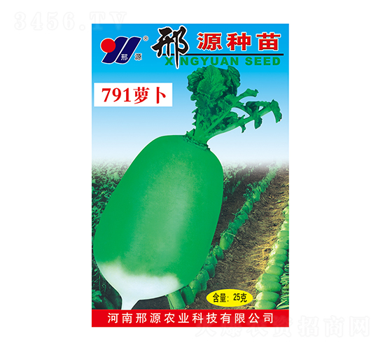 邢源791-青蘿卜種子-邢源農(nóng)業(yè)