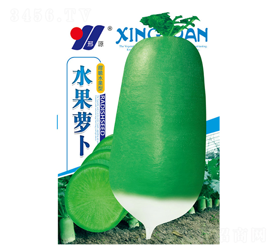 水果蘿卜-青蘿卜種子-邢源農(nóng)業(yè)