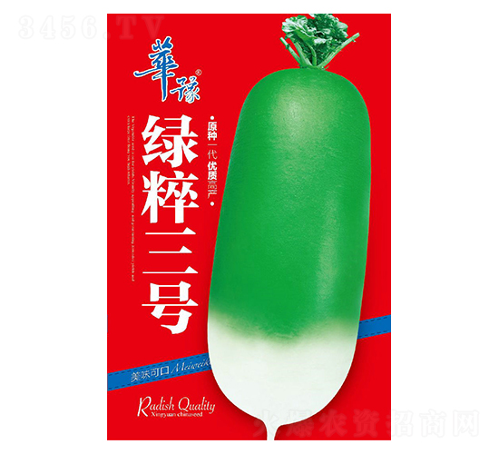 綠粹3號-青蘿卜種子-邢源農(nóng)業(yè)